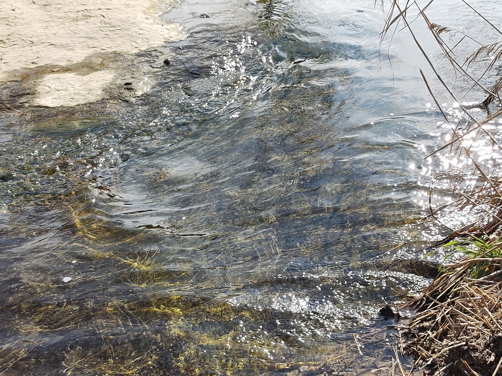 No s'ha trobat l'arxiu